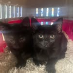 Micky - @martha_mabel_devine_2022 - Instagram