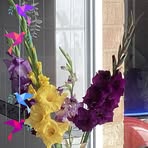 Mabel Dixon - Facebook