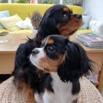 Jane Donovan - @monty_and_mabel_donovan - Instagram