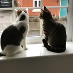 Mabel & Dora - @mabelanddora__ - Instagram