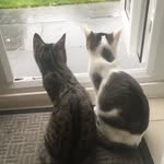 Mabel and Dora - @mabel_and_dora - Instagram