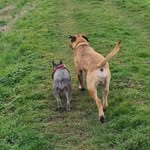 @mabel_n_douglas_ - Instagram