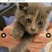 Mabel Downs - Facebook