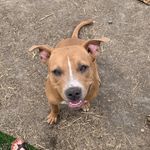 Mabel_Jeanne - @mabel_jeanne_dunn - Instagram