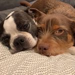 Milli & Mabel Dyer - @milliandmabel - Instagram