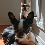 Mabel 'n Ebert - @mabelnebert - Instagram
