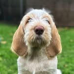 Mabel Edwards - @mabelspinone - Instagram
