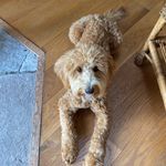 Mabel Edwards - @mabely_wabely_edwards - Instagram