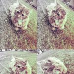 Mabel May Erickson - @_mabel_may_ - Instagram