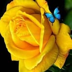 Mabel Estevez - Facebook