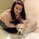 Mabel Farrell - @mabel_the_golden_retriever_123 - Instagram