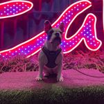 Mabel Ferguson - @mabel_ferguson_ - Instagram