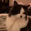 Mabel Herty - @mabel.herty - TikTok