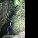 @mabel_fleming - Instagram