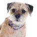 Mabel Flint - Facebook