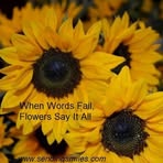 Mabel Flowers - Facebook
