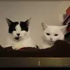 Mabel.flowers - @mabel.flowers - TikTok