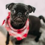 Mabel - @mabel_fong - Instagram