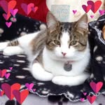 Mabel Ford - @mabelford1945 - Instagram