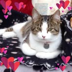 Mabel Ford - Facebook