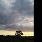 @mabel_fowler - Instagram