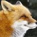 Mabel Fox - Facebook