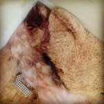 Mabel Fraga - @mabel_fragae - Instagram
