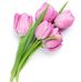 Mabel Fraser - Facebook