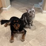 Mabel & Luna Freya - @mabel_n_lunafreya - Instagram