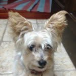 Mabel Fuchs - @mabel_fuchs - Instagram