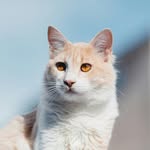 Mabel Fuller - @mabelfuller43 - Instagram