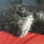 Mabel - @mabelgalvan64 - Instagram