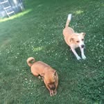 Penny And Mabel Gardner - @pennyandmabel - Instagram