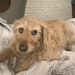 Mabel - @mabel_gilligan - Instagram