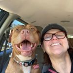 Mabel Gillespie - @mabelgillespie67 - Instagram