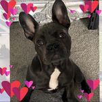 Mabel Gray - @mabeleeeeeeeee - Instagram