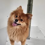 Mabel Gray - Facebook