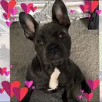 Mabel Gray - Facebook