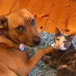 Roxy & Mabel Gregory - @roxy_and_mabel - Instagram