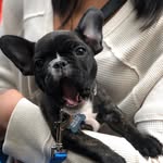 Mabel Grey - @couchpotatomabel - Instagram