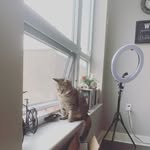 Mabel Grey Stock - @mabelsgrey - Instagram
