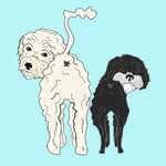 Mabel + Griffin (Gaga 🪽) - @mutts_with_butts - Instagram