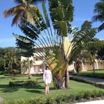 Mabel Gross - @mabelgross - Instagram