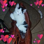Mabel Haag - Facebook