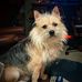 Mabel Hamner - Facebook