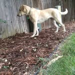 mable hancock - @unstable_mable - Instagram