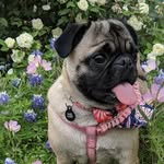 Mabel Harvey - @mabelharveymassey - Instagram