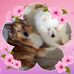 Mabel Harvey - Facebook