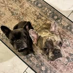 Mabel May & Harvey Dent - @maybeitsmabelandharvey - Instagram