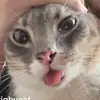 Mabel Leahy - @mabel.leahy - TikTok